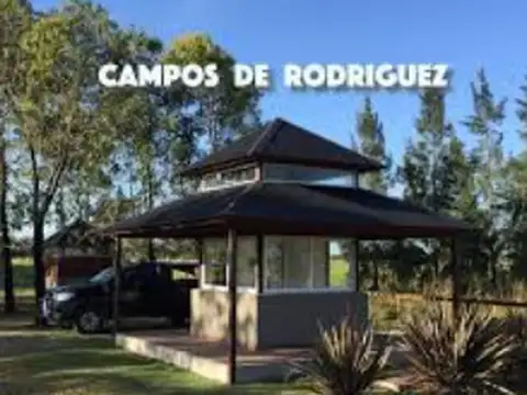 Campos de Rodriguez