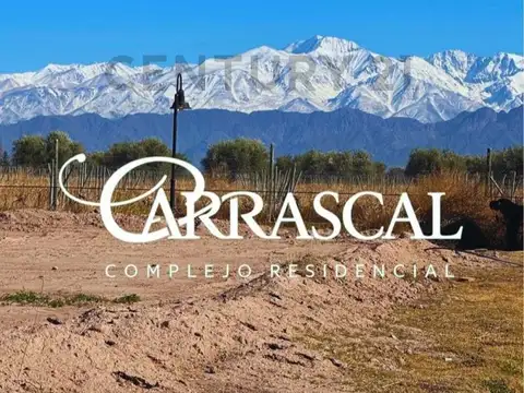 Azcuenaga 1000, Piso 0