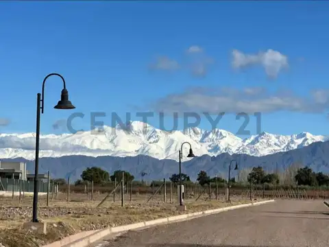 Azcuenaga 1000, Piso 0