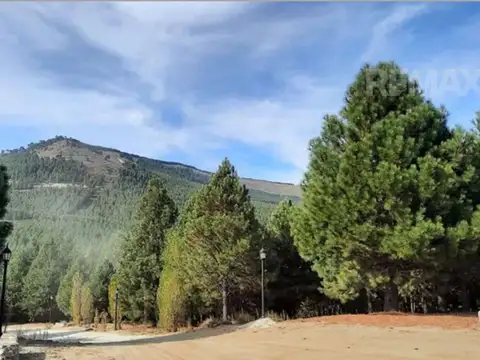 Terreno en Venta en Villa Pehuenia, USD 35.000