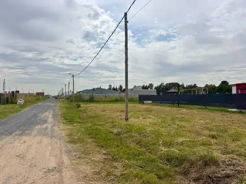 Guadalupe Cuenca-petion Chico