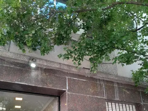 Alquiler de Departamento