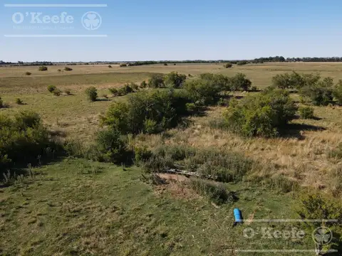 Campo Ganadero 137 has - Ideal Tambo -  Sobre Ruta -  Ranchos
