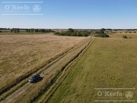 Campo Mixto 137 has - 70 % agricola -   Ranchos