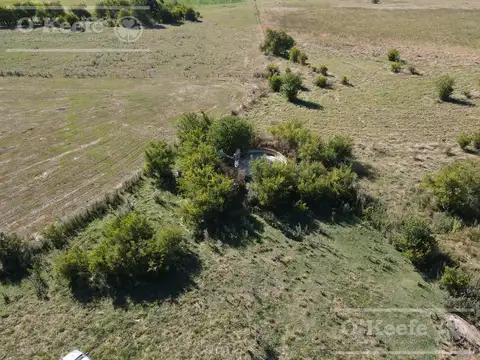 Campo Mixto 137 has - 70 % agricola -   Ranchos