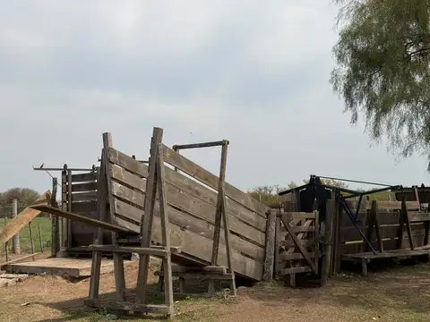 Campo sobre Ruta Nacional 19, La francia