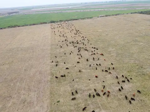 Campo en la francia