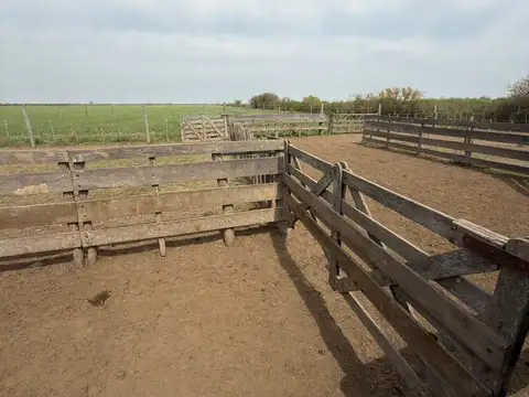 Campo en La Francia