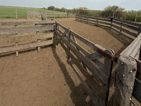 Campo sobre Ruta Nacional 19, La francia