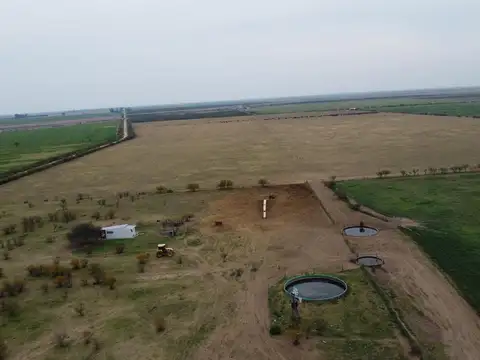 Campo en La Francia