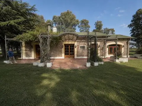 Campo 1500