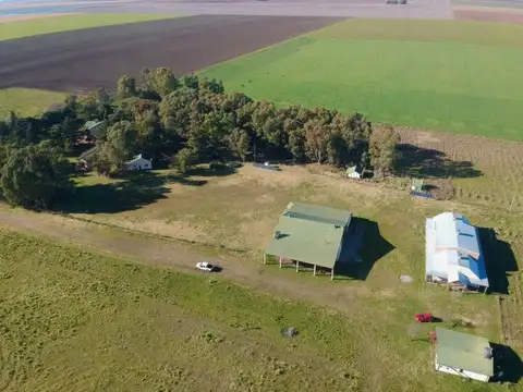 Campo 1500