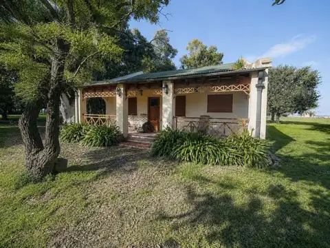 Campo 1500