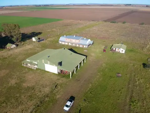 Campo con Bodega Orgánica Certificada en Espartillar de 41 Hectareas Provincia de Buenos aires