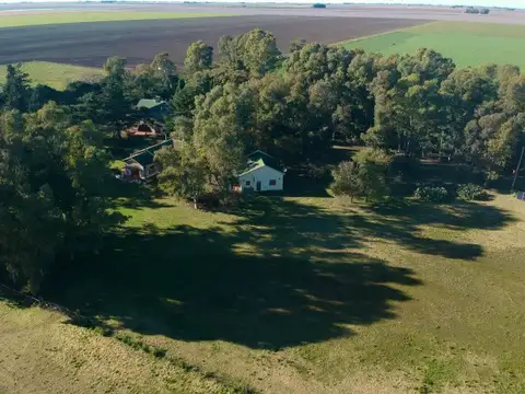 Campo 1500
