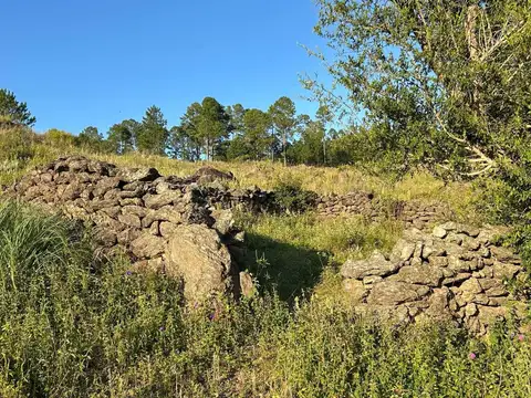 VENTA LOTE 1.65HA  SAN MIGUEL DE LOS RIOS YACANTO