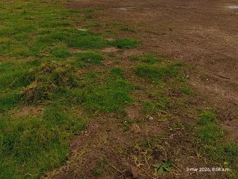 ALQUILER GALPON CIUDAD INDUSTRIA FUNES