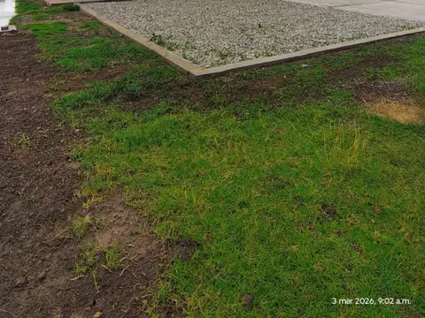 Galpon en Alquiler 100  mts Fondo