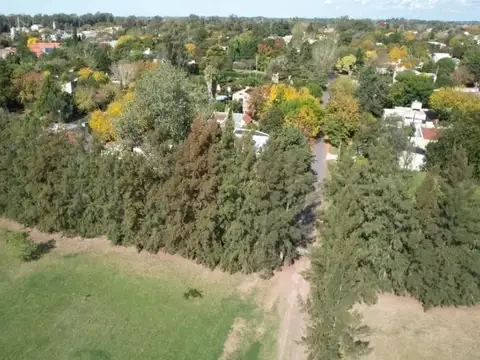 Terreno en Venta 246  mts Fondo