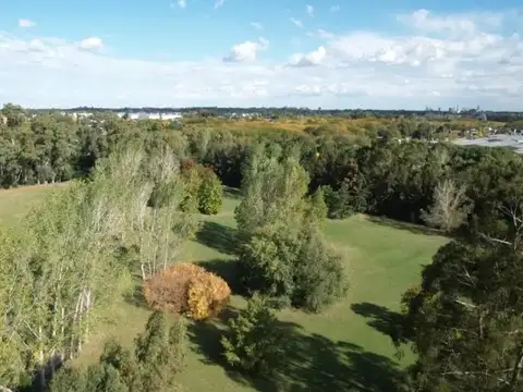 Terreno en venta - 5Ha - Lisandro Olmos Etcheverry