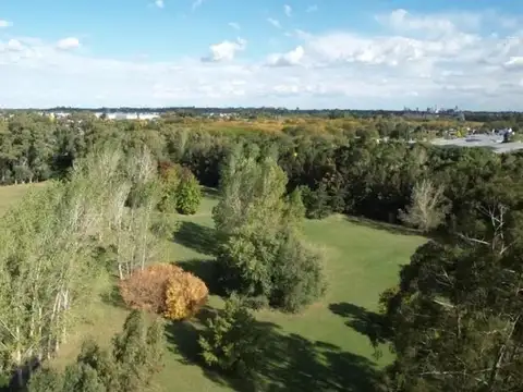 Terreno en venta - 5Ha - Lisandro Olmos Etcheverry