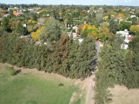 Terreno en Venta 246  mts Fondo