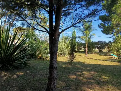 San Gregorio de Polanco 100