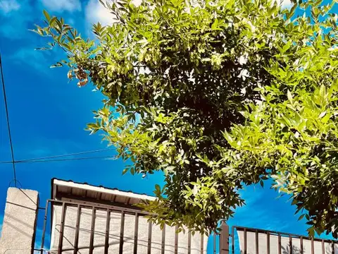 Depto Tipo Casa en Alquiler de 3 ambientes