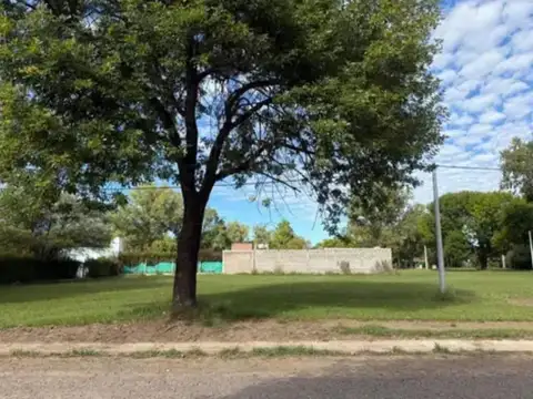 Terreno en Venta 40  mts Fondo