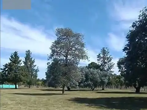 Autovía 6 km 184