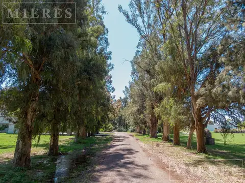 Casa en venta en Casuarinas del Pilar