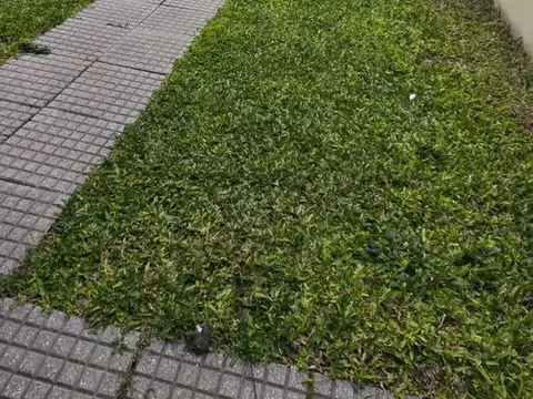 Depto Tipo Casa en Alquiler en Villa Martelli, $ 2.300.000