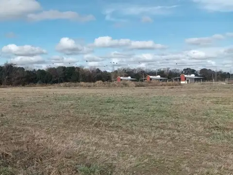 Avenida Rancagua 1600