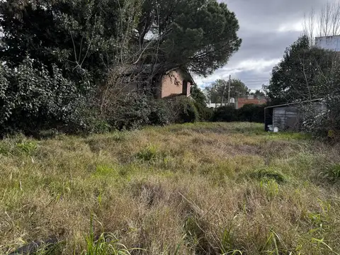 Terreno en Venta 38  mts Fondo