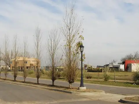 Calle El Deslinde, San Felipe