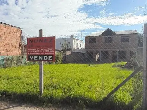 Vidt 6500