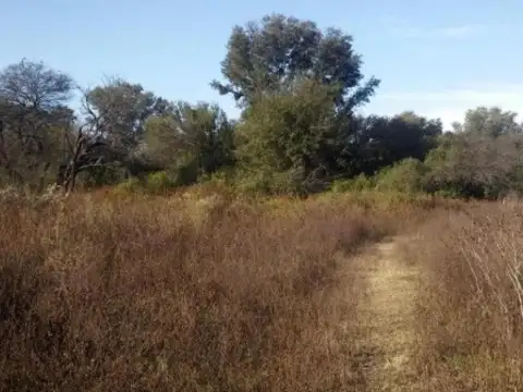 Campo en venta - 188 Hectáreas - Santiago del Estero