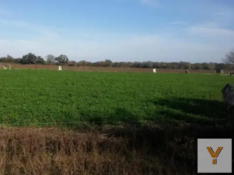 Campo en venta - 188 Hectáreas - Santiago del Estero