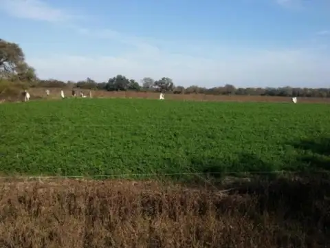 Campo en venta - 188 Hectáreas - Santiago del Estero