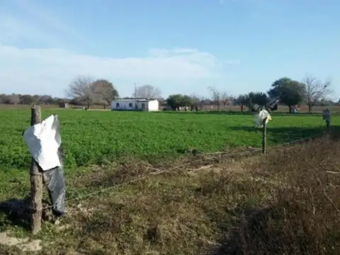 Los Pereyra