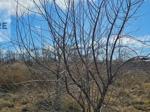 Lotes 13 y 14, Mza 1, Vista Alegre Norte