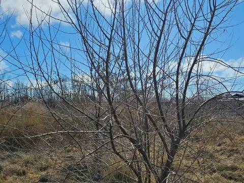 Terreno en Vista Alegre Norte