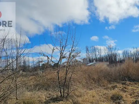 Terreno en Venta 20  mts Fondo