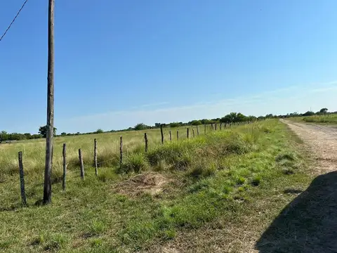 Terreno en Venta de 10000,0 m2