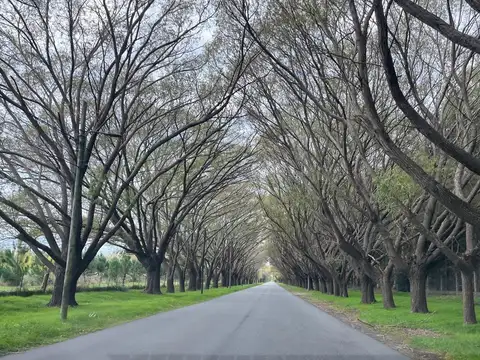 Mendoza 5400