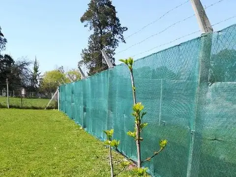 Terreno en Venta de 795,0 m2