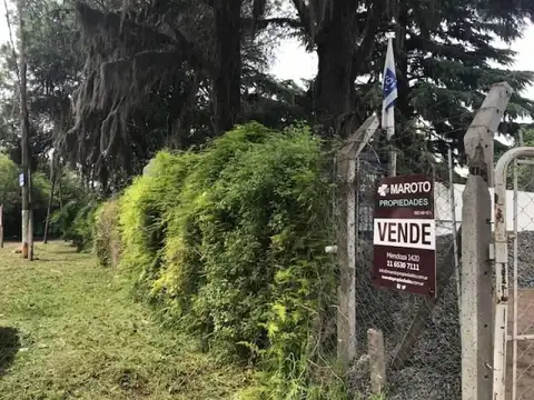 MAROTO PROPIEDADES-ALQUILA- TIERRA-