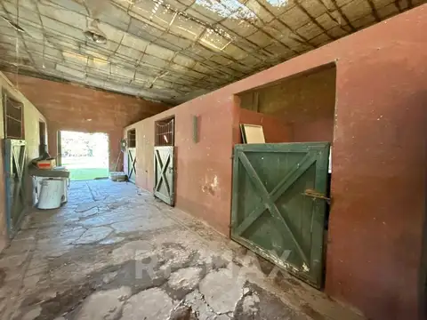 Nemesio Litardo 100