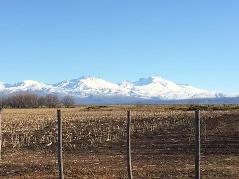 Campo Agropecuario en La Junta