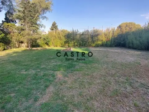 Carlos Tejedor 1900 , Piso No definido